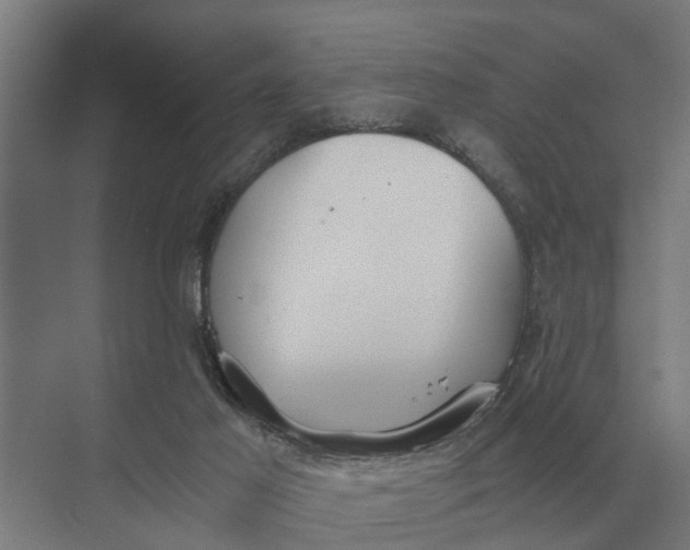 X0000069810021200606021517