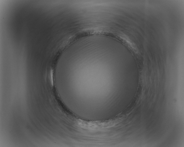 X0000069810022200606021517