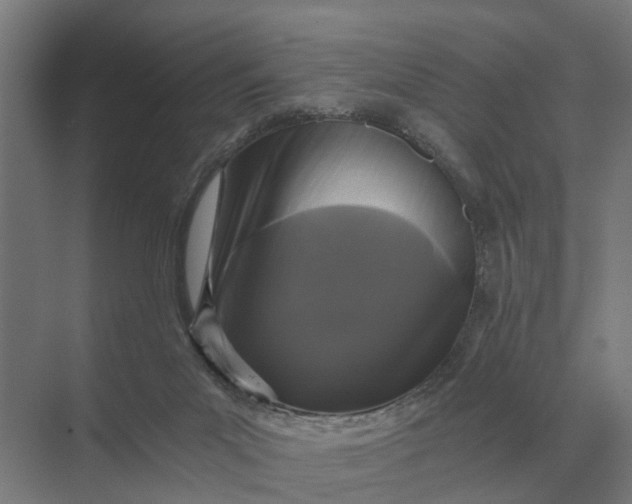 X0000069810023200606021517