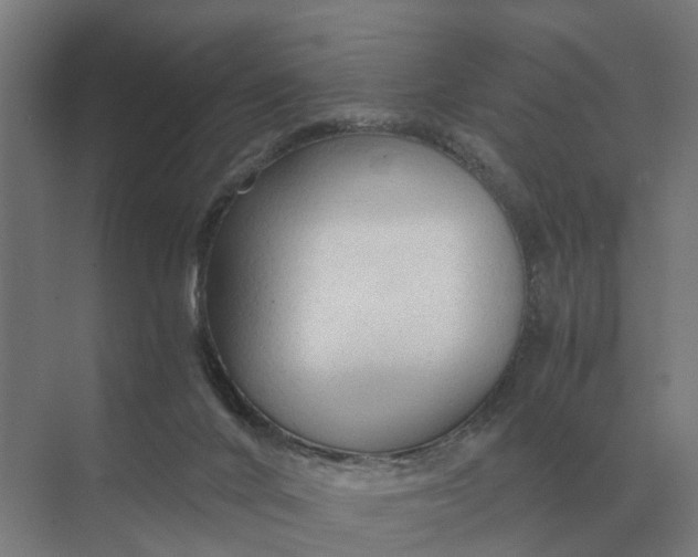 X0000069810024200606021517