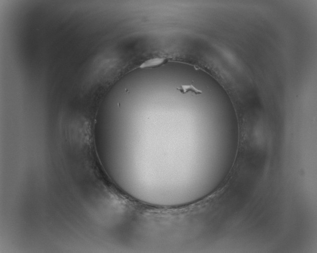 X0000069810025200606021517