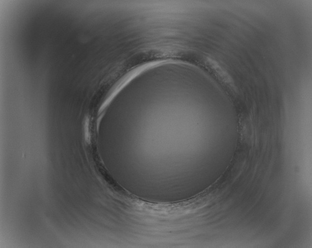 X0000069810026200606021517