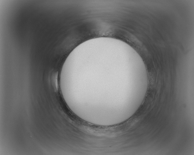 X0000069810028200606021517