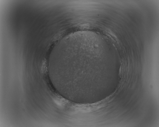 X0000069810029200606021517