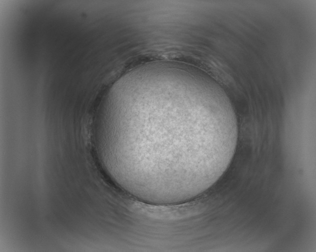 X0000069810030200606021517