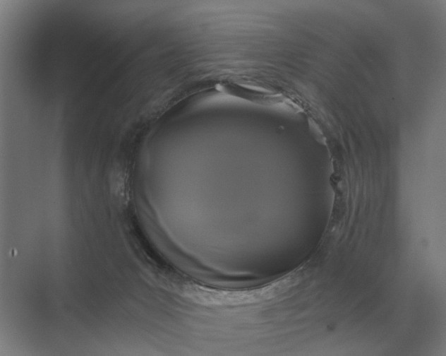 X0000069810031200606021517