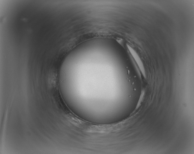 X0000069810033200606021517