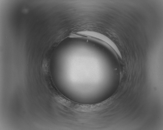 X0000069810037200606021517