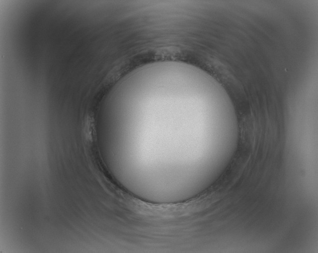 X0000069810038200606021516