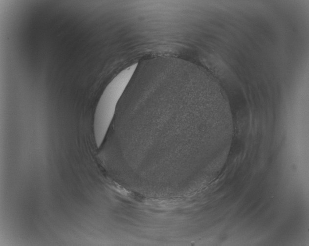 X0000069810041200606021516