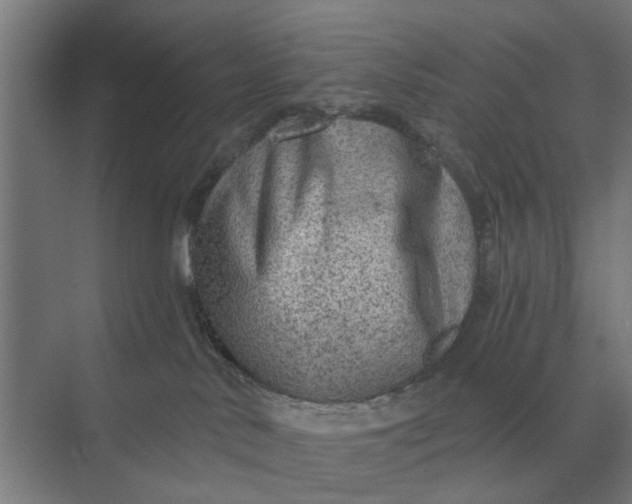 X0000069810042200606021516