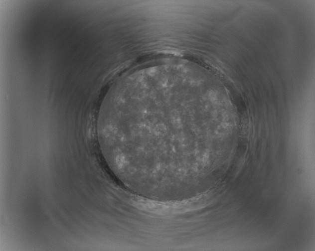 X0000069810043200606021516