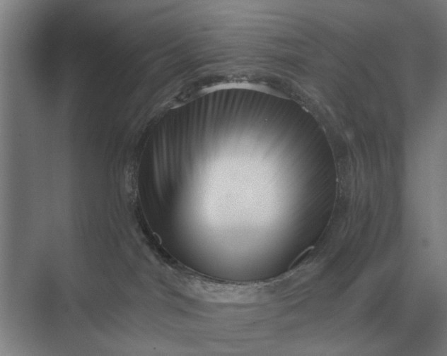 X0000069810044200606021516