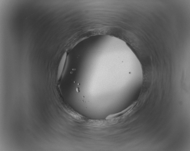 X0000069810045200606021516