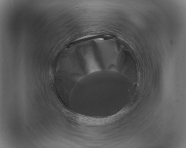 X0000069810048200606021516