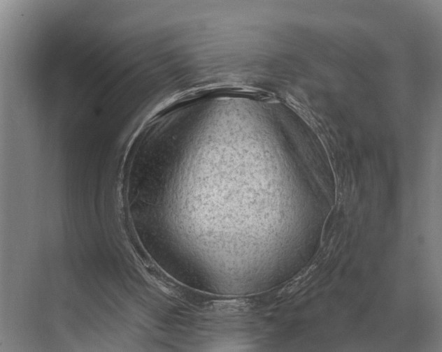 X0000069810050200606021516