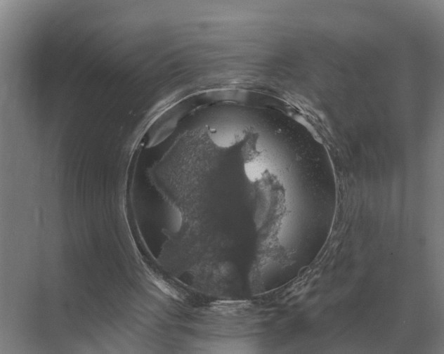 X0000069810051200606021516