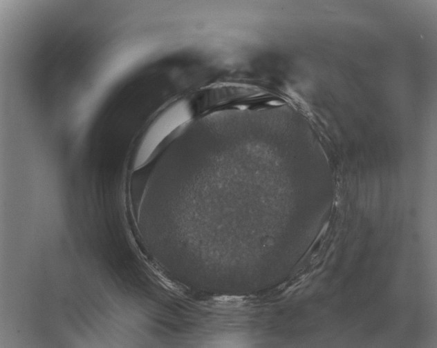 X0000069810052200606021516