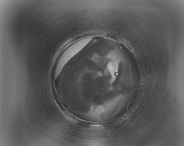 X0000069810053200606021516