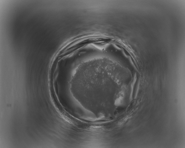 X0000069810055200606021516