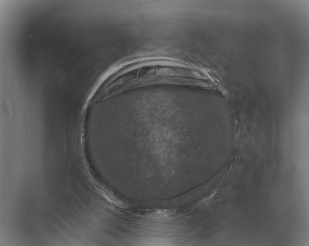 X0000069810056200606021516