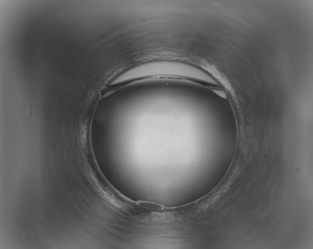 X0000069810057200606021516