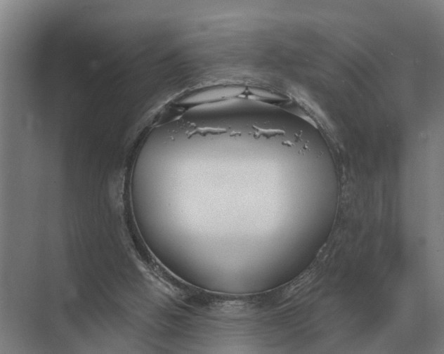 X0000069810058200606021516