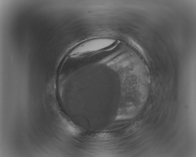 X0000069810059200606021516