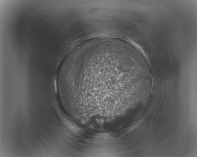 X0000069810061200606021516