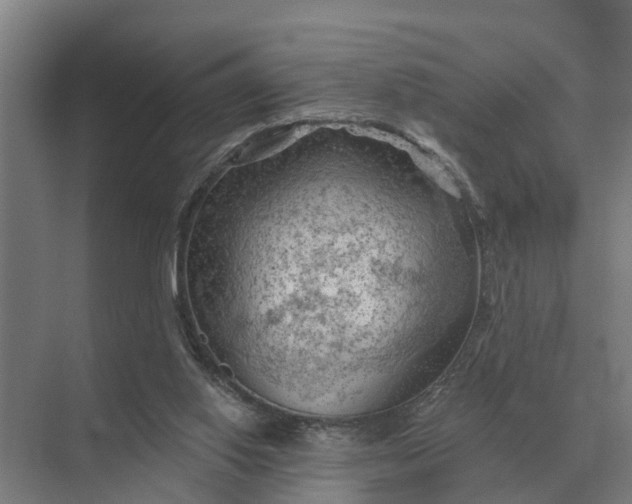 X0000069810062200606021516