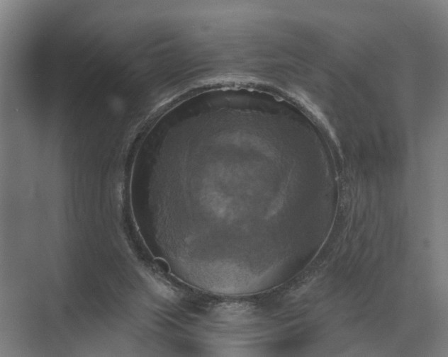 X0000069810063200606021516