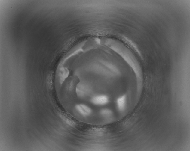 X0000069810065200606021516