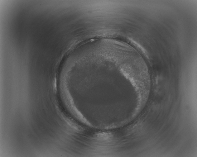 X0000069810067200606021516