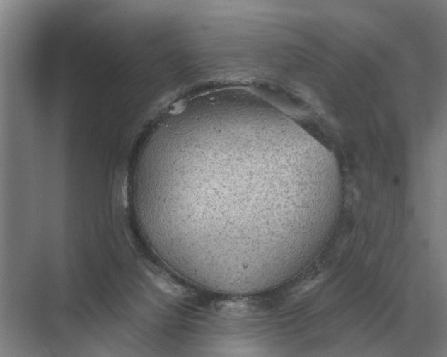 X0000069810068200606021516