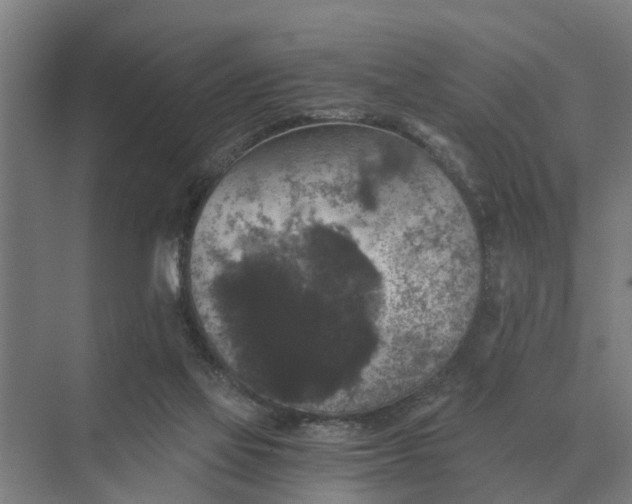 X0000069810069200606021516