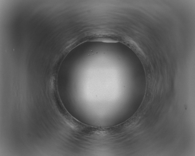 X0000069810071200606021516