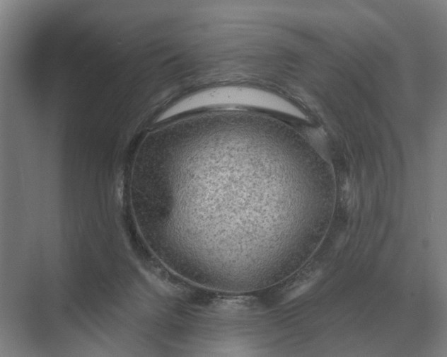 X0000069810072200606021516