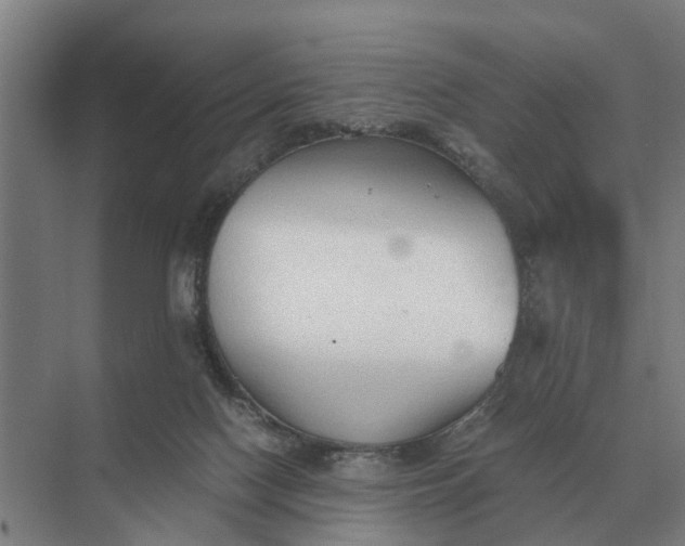 X0000069810074200606021516