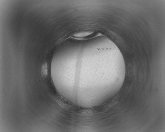 X0000069810075200606021516