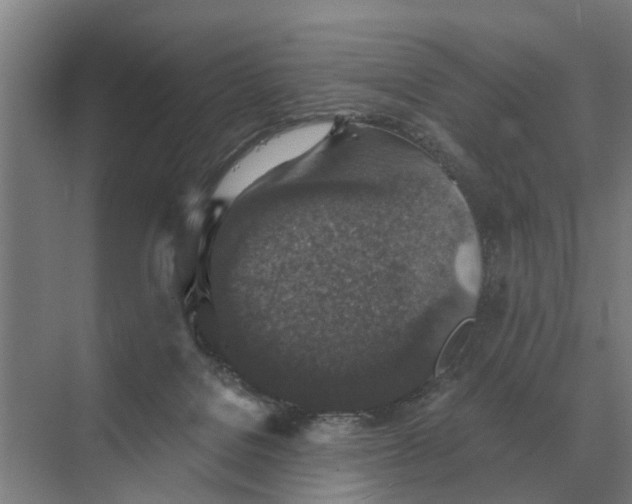 X0000069810076200606021516