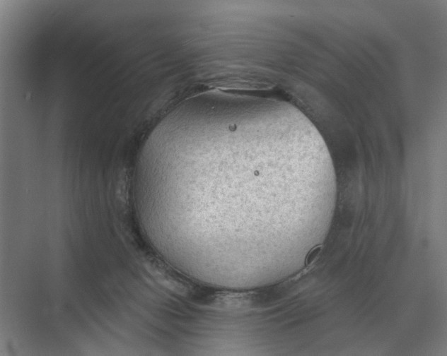 X0000069810078200606021516