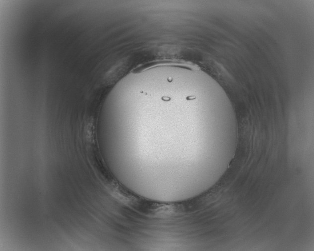 X0000069810083200606021516