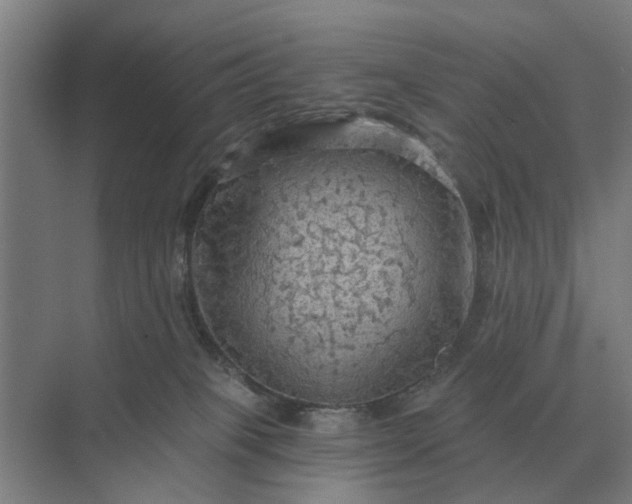 X0000069810085200606021516