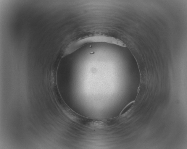 X0000069810086200606021516