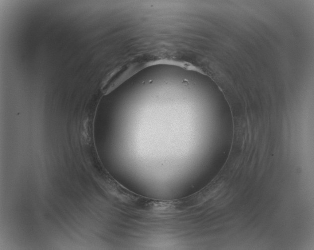 X0000069810088200606021516