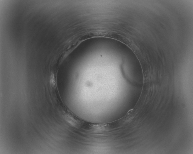 X0000069810089200606021516