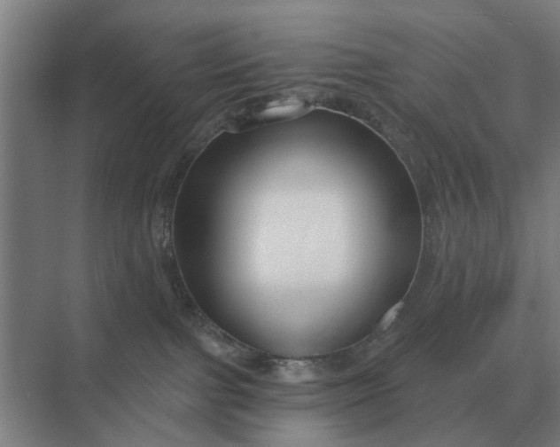 X0000069810091200606021516