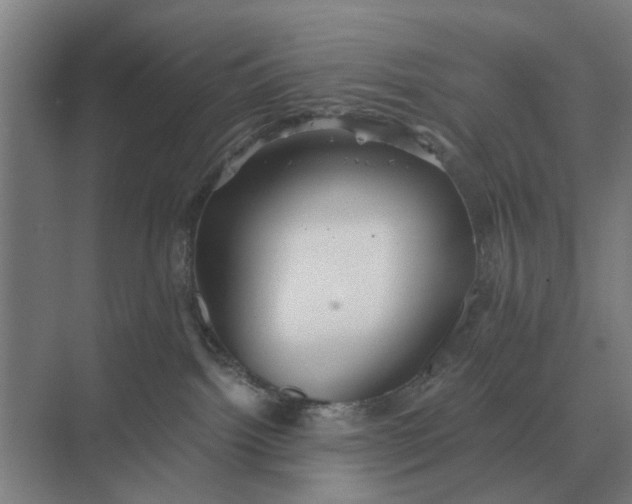 X0000069810092200606021516