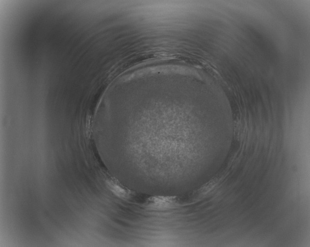 X0000069810093200606021516