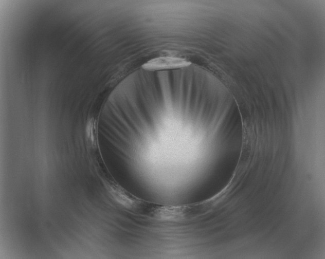 X0000069810094200606021516